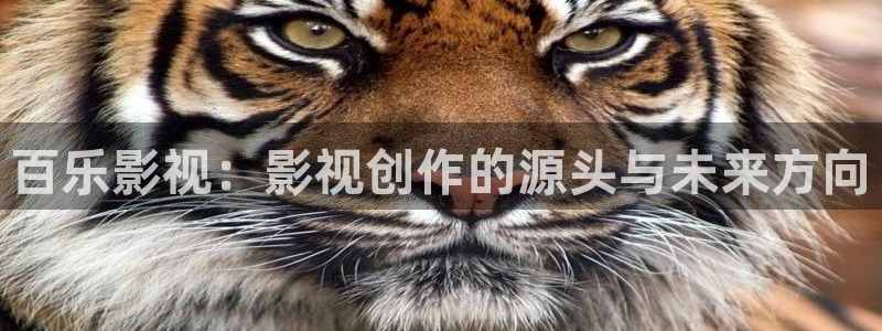 蓝莓视频下载：百乐影视：影视创作的源头与未来方向