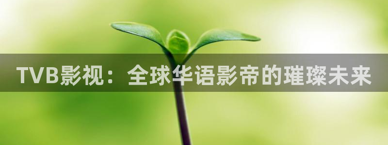 永久免费蓝莓视频：TVB影视：全球华语影帝的璀璨未来