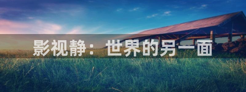 蓝莓视频播放器：影视静：世界的另一面