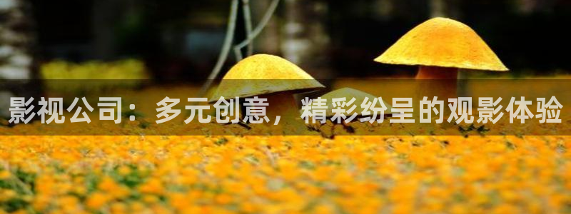 蓝莓*视频：影视公司：多元创意，精彩纷呈的观影体验
