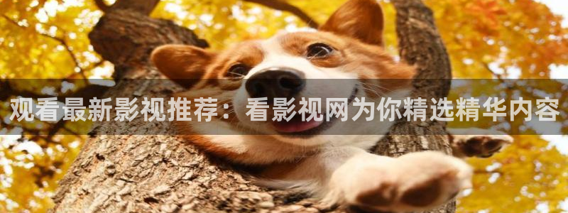 蓝莓视频app安卓：观看最新影视推荐：看影视网为你精选精华内容