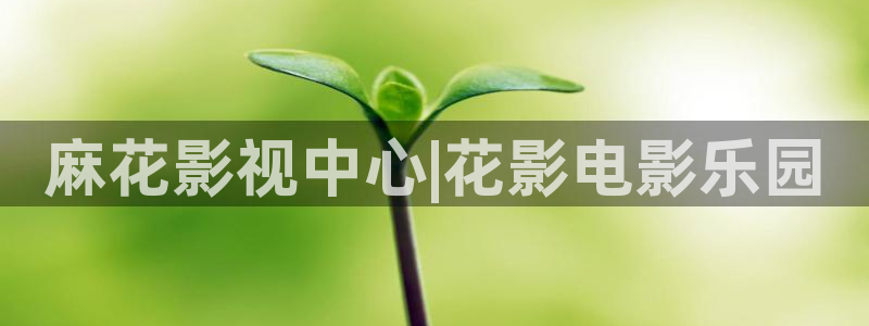 蓝莓视频h：麻花影视中心|花影电影乐园
