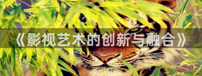蓝莓在线下载：《影视艺术的创新与融合》