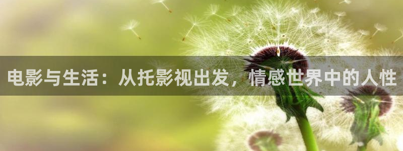 蓝莓视频网站在线观看免费下载：电影与生活：从托影视出发，情感世界中的人性