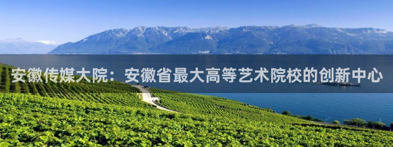 蓝莓网站免费看：安徽传媒大院：安徽省最大高等艺术院校的创新中心